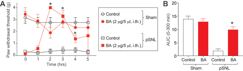 Figure 12.