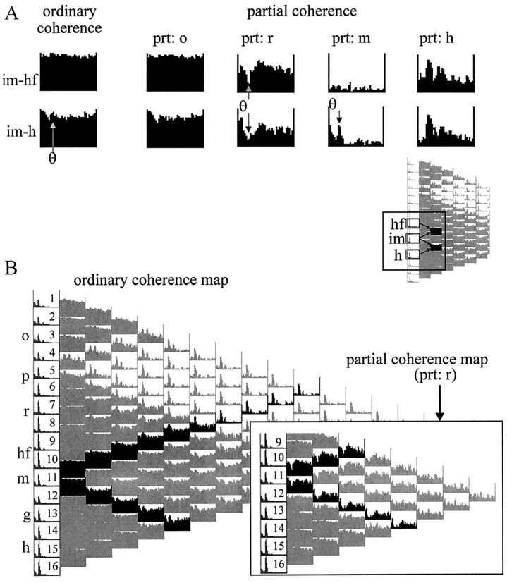 Fig. 13.