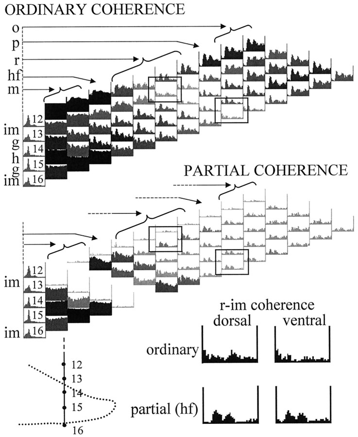 Fig. 9.