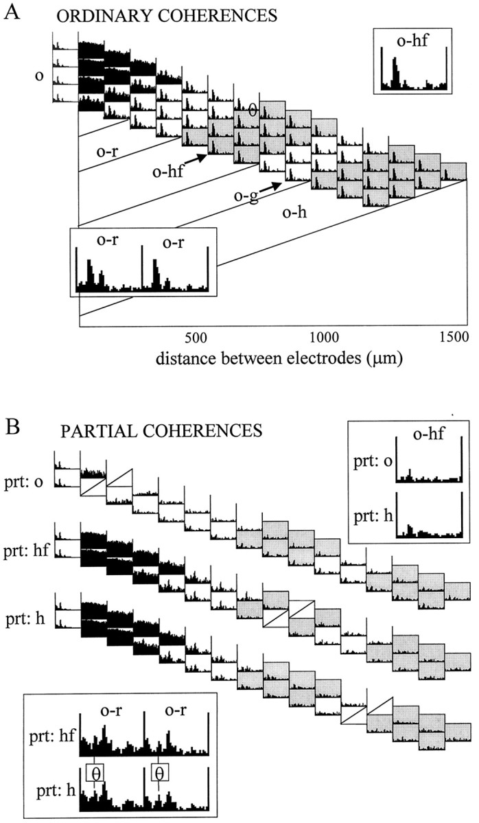 Fig. 12.