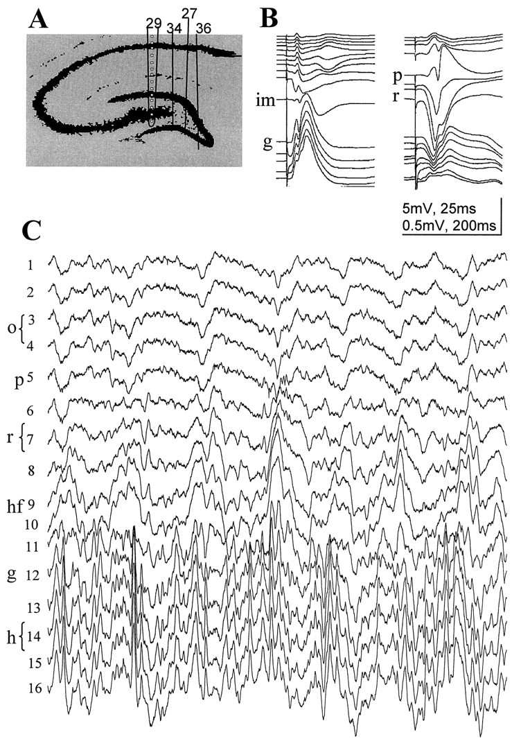 Fig. 3.