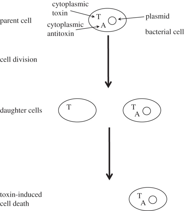 Figure 1.