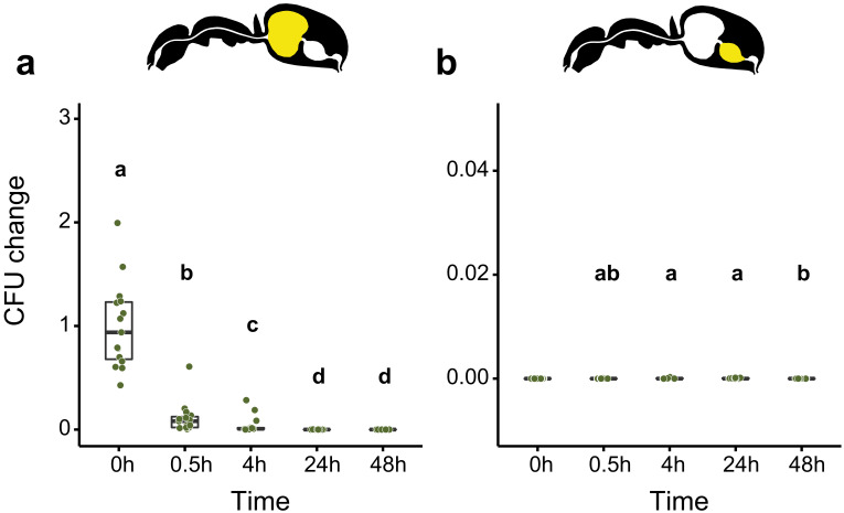 Figure 2—figure supplement 2.