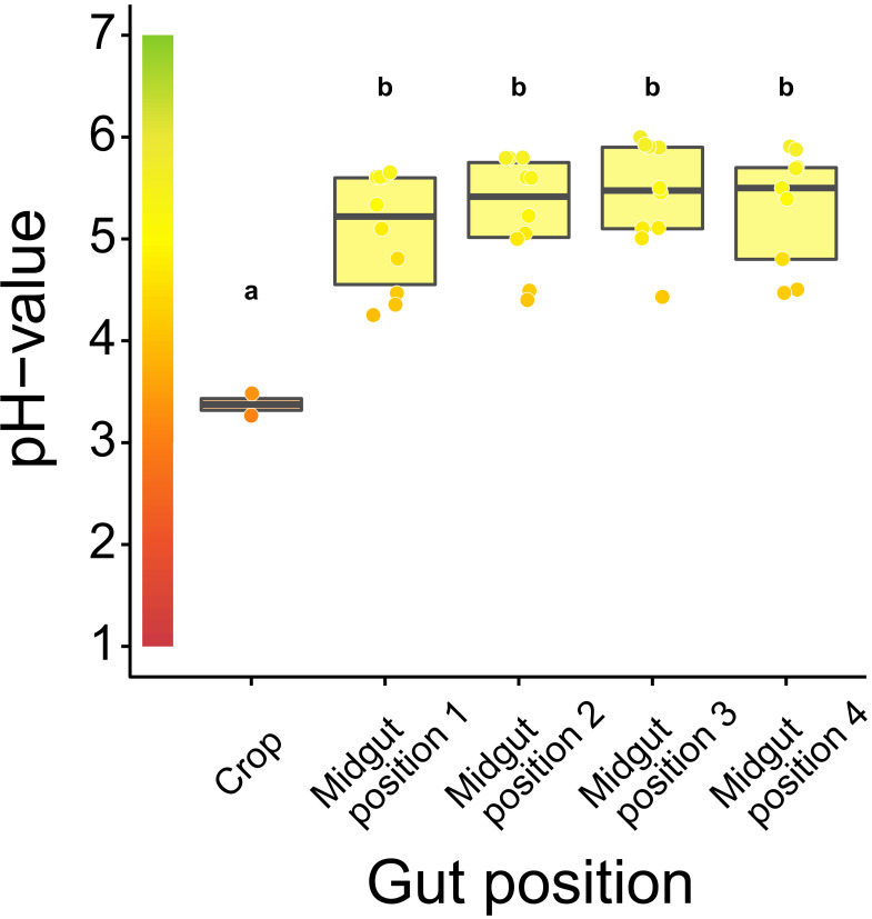 Figure 1—figure supplement 3.