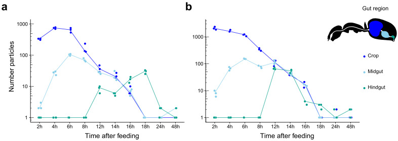 Figure 2—figure supplement 1.