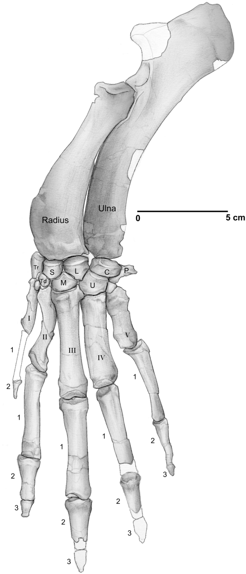 Figure 7