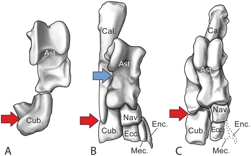 Figure 11