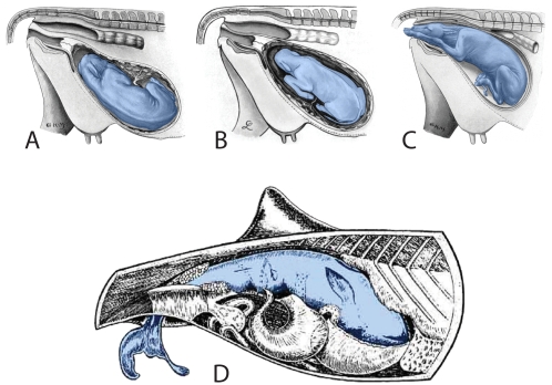 Figure 14