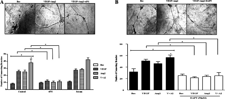 Figure 5