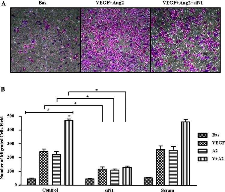 Figure 4