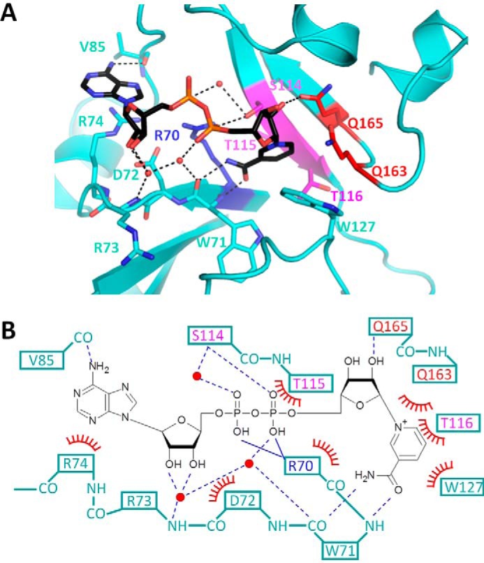 Figure 2.