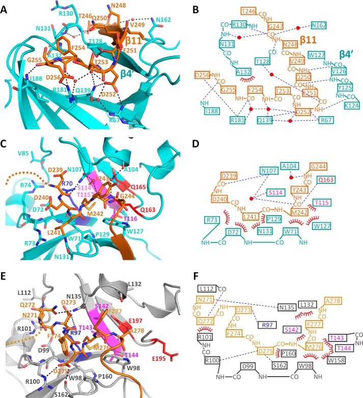 Figure 5.