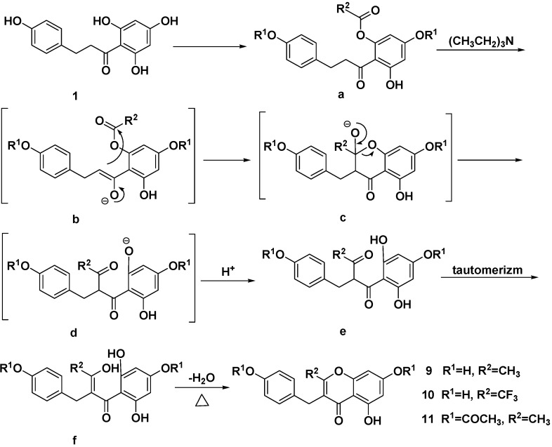 Scheme 2