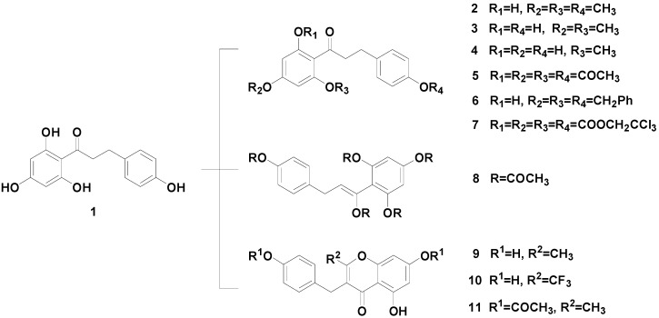 Scheme 1