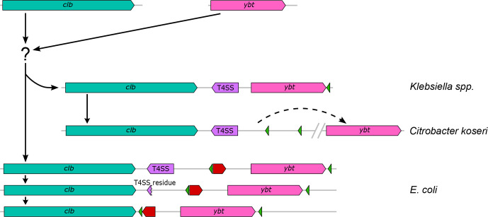 Fig. 7.