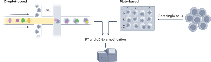 Box 1 Droplet-based versus plate-based transcriptomics