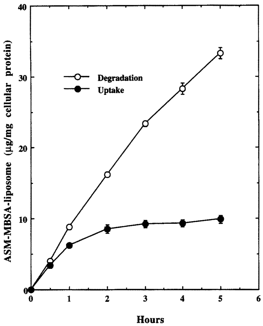 FIG. 5