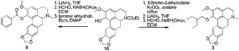 Scheme 1