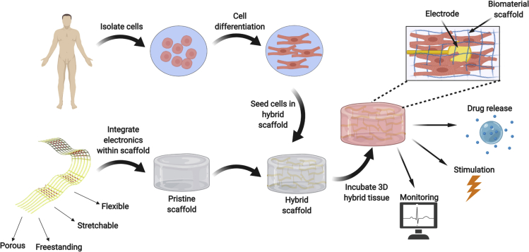 Figure 1