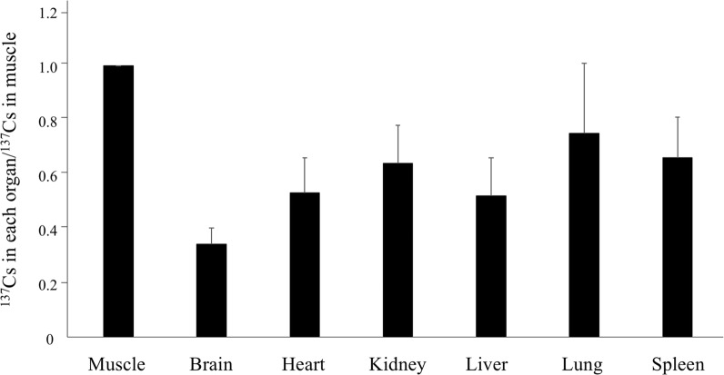 Fig. 1