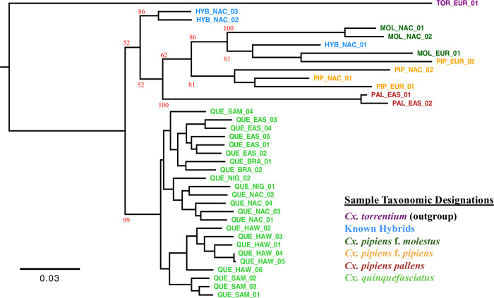 Fig 4