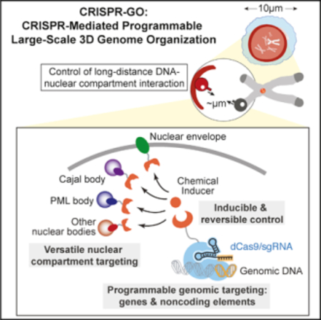 graphic file with name nihms-1506817-f0001.jpg