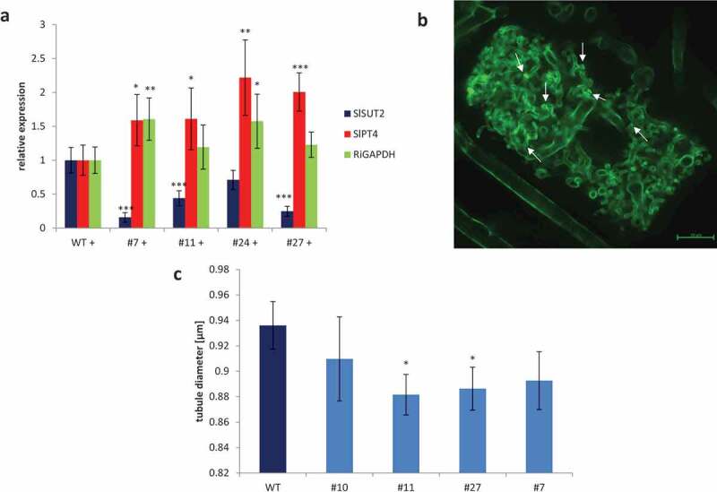 Figure 4.