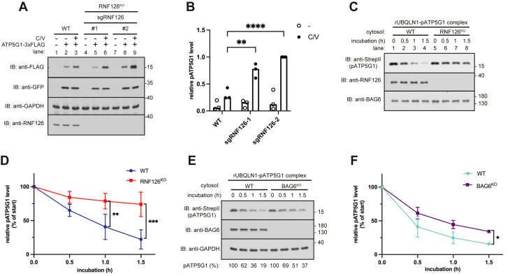 Figure 2