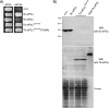 FIG. 8.