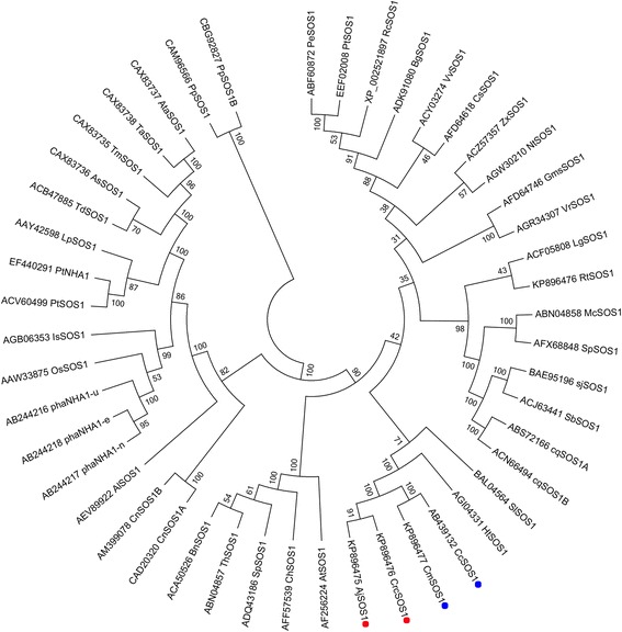 Fig. 4