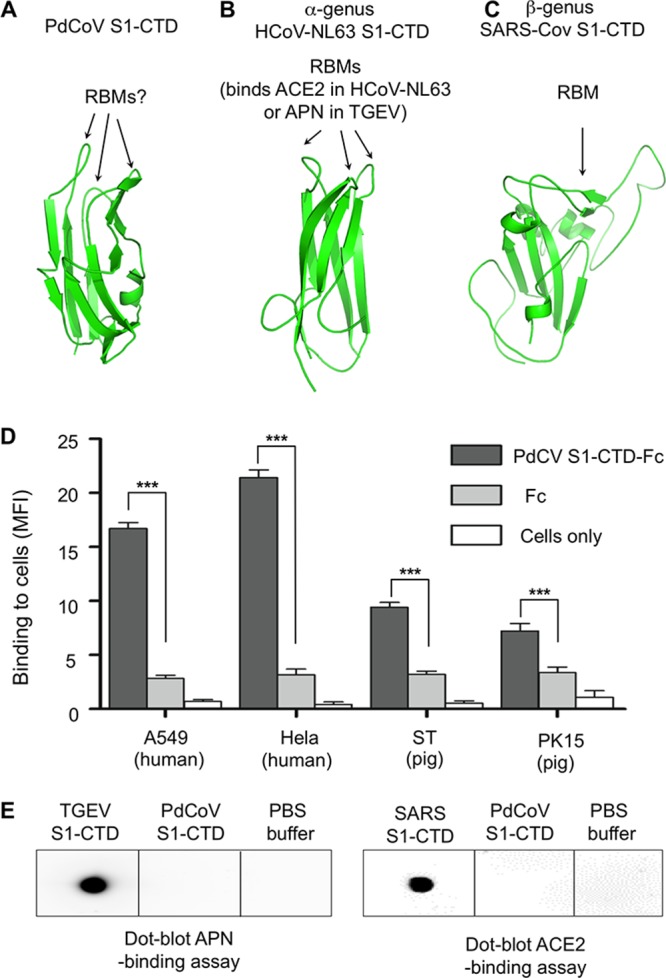 FIG 6