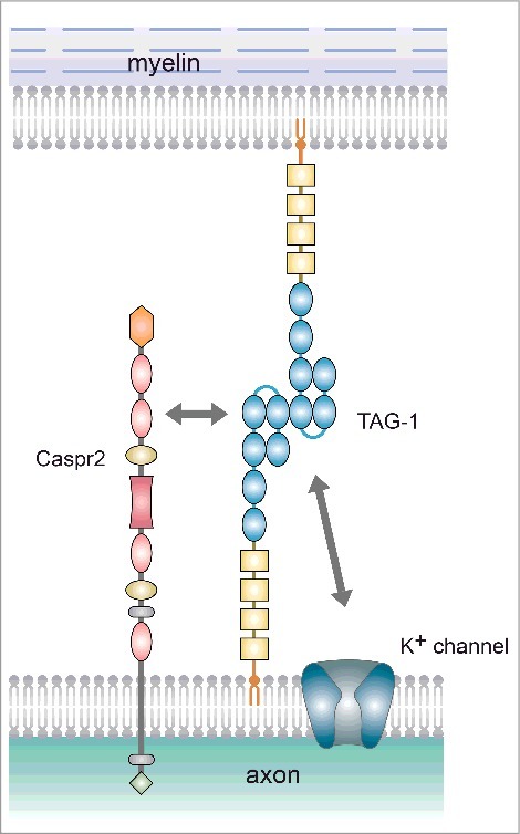 Figure 3.