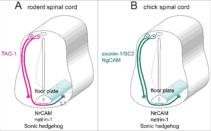 Figure 2.