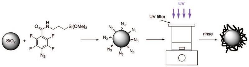 Scheme 2