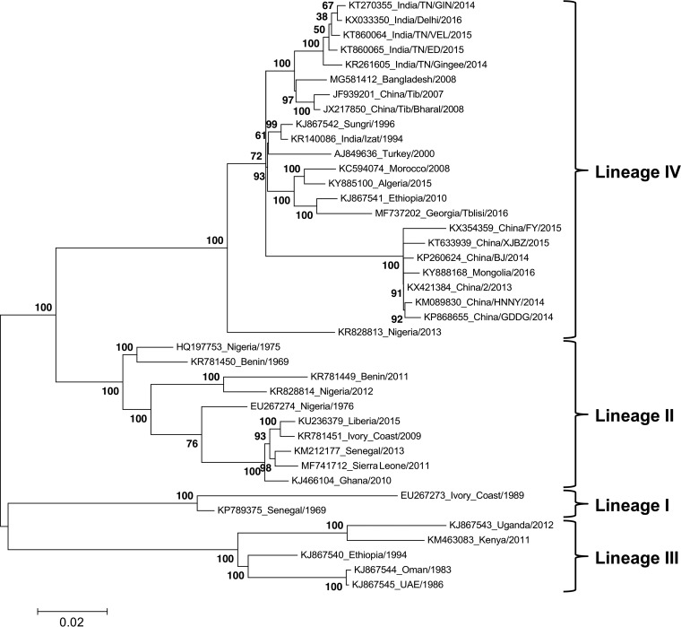 FIG 1