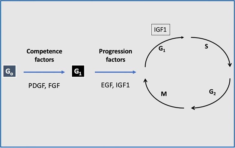 Figure 1