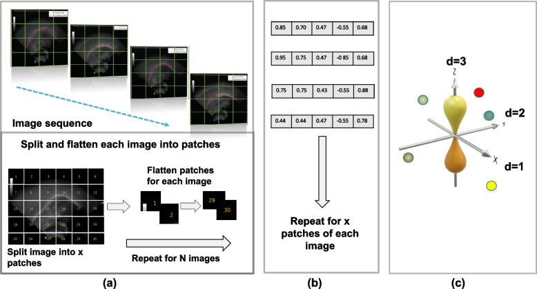 Fig. 3