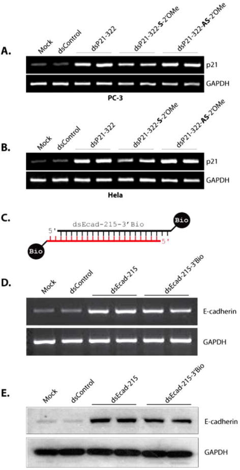 Fig. (4)