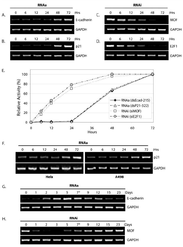 Fig. (1)