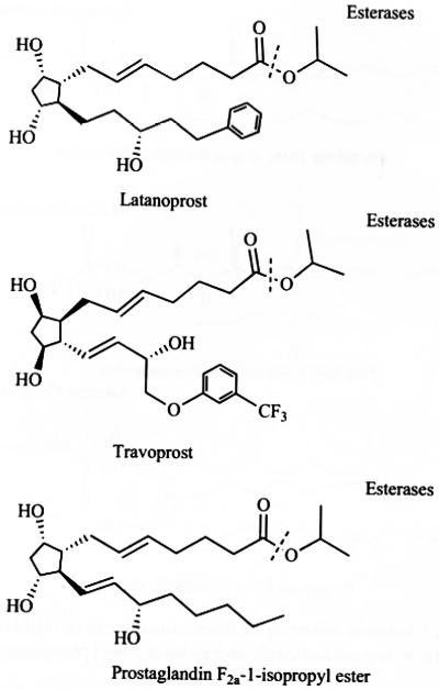 Fig. (3)