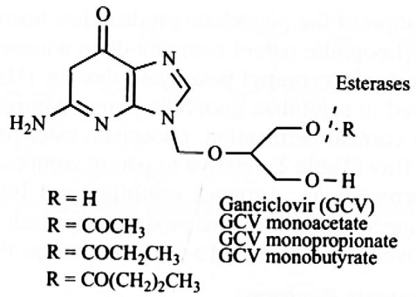 Fig. (2)