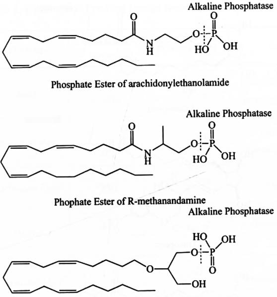 Fig. (4)