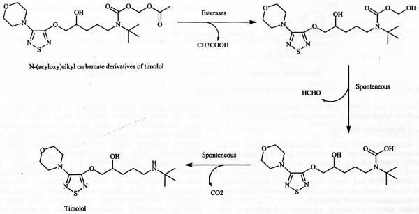 Fig. (5)