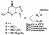 Fig. (2)