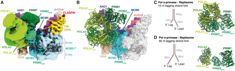 Figure 5