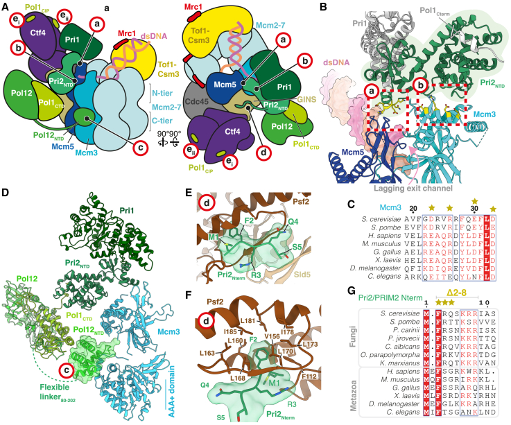 Figure 2