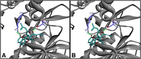 Fig. 11