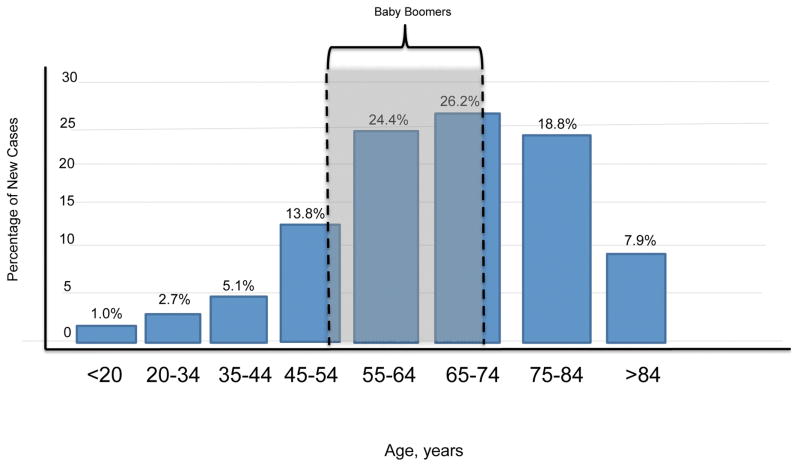 FIGURE 1