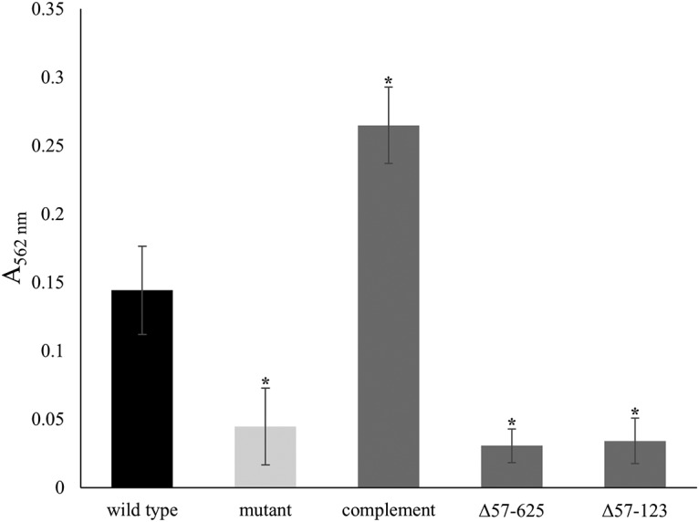 FIG 4