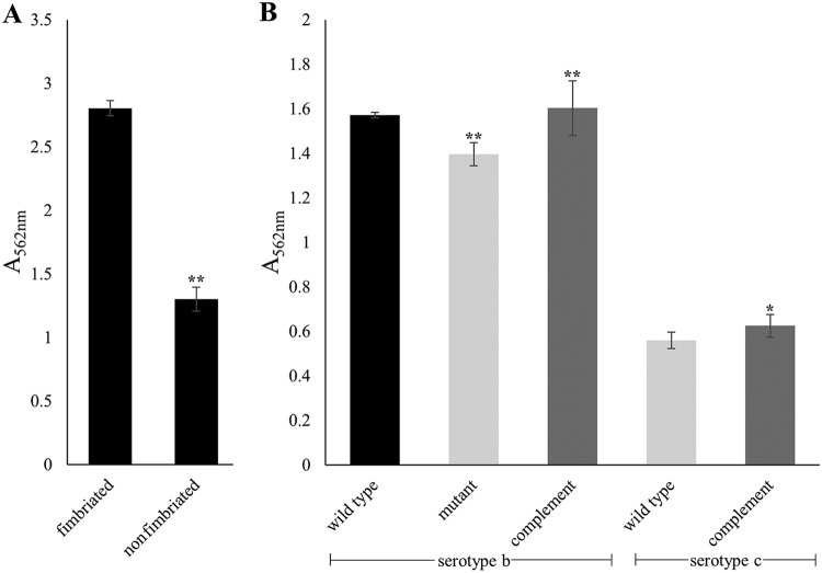 FIG 2